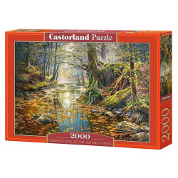 Reminiscence of the Autumn Forest, 2000 pcs.
