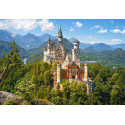 View of the Neuschwanstein Castle, Germany. 500 pcs.