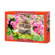 Kitten in flower garden. 500 pcs.