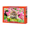 Gatitos en jardín florido. 500 piezas.