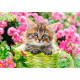 Kitten in flower garden. 500 pcs.