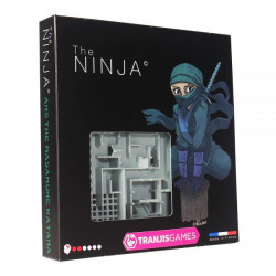 Inside 3 Escape: The Ninja.