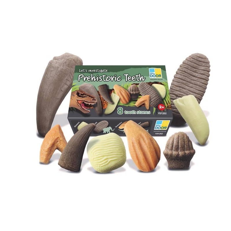 Investiguemos dientes prehistóricos.