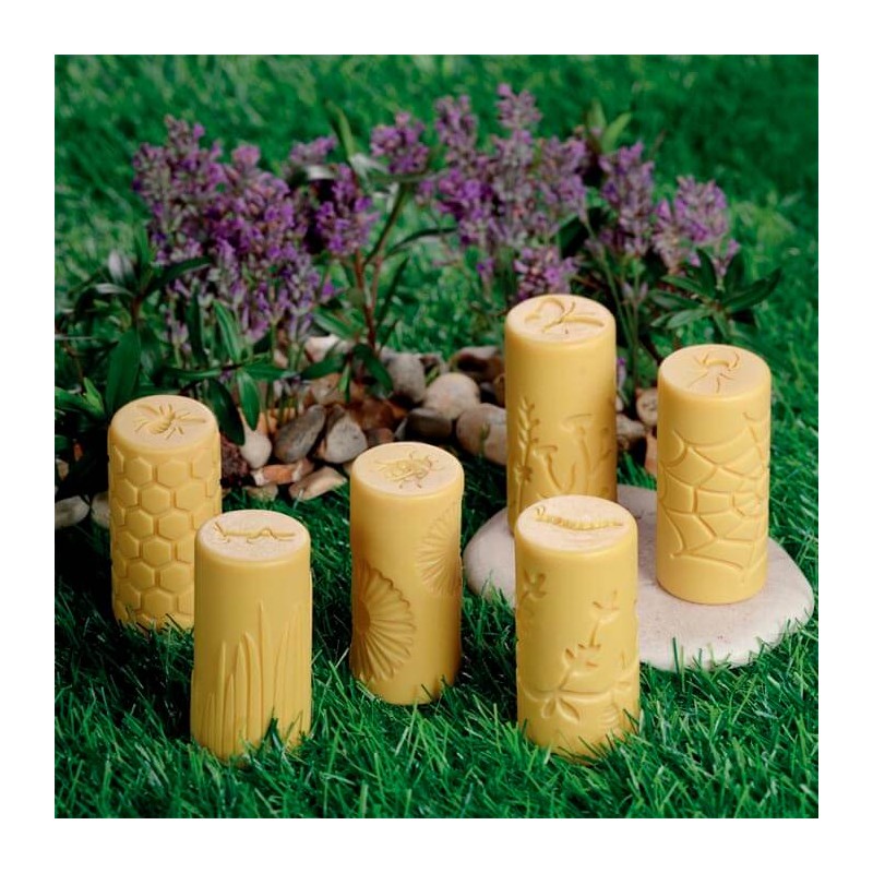 Let´s roll: Garden Bugs.