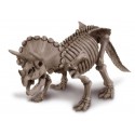 Triceratops Skeleton. 4M 00-03228