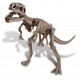 Tyrannosaurus Rex skeleton. 4M 00-03221