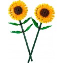 Girasoles.