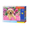 Labrador Puppy in Pink Box. 300 pcs.