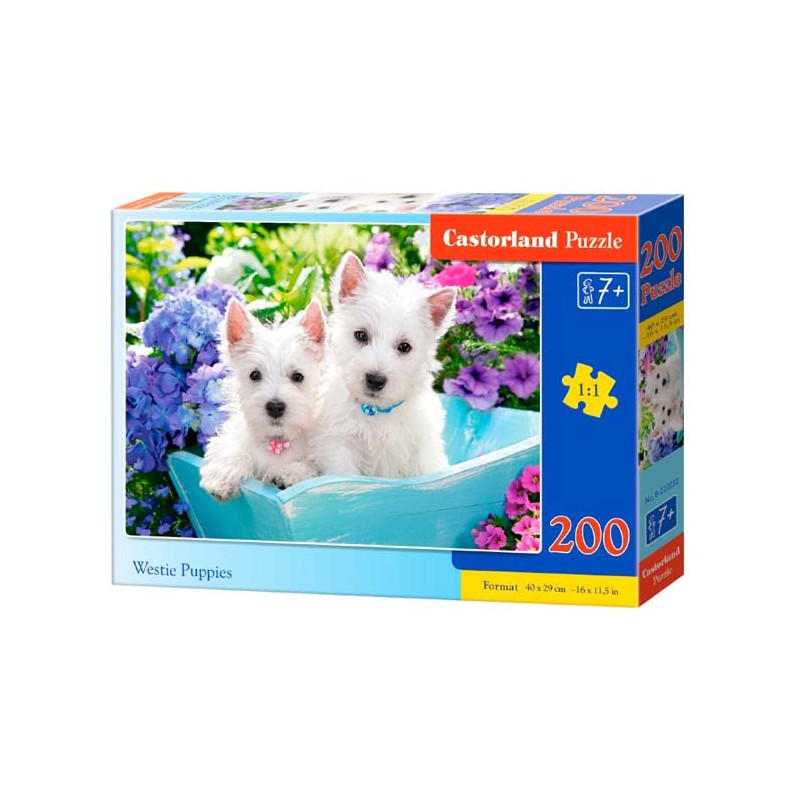 Westie puppies. 200 pcs.