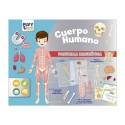El cuerpo humano.